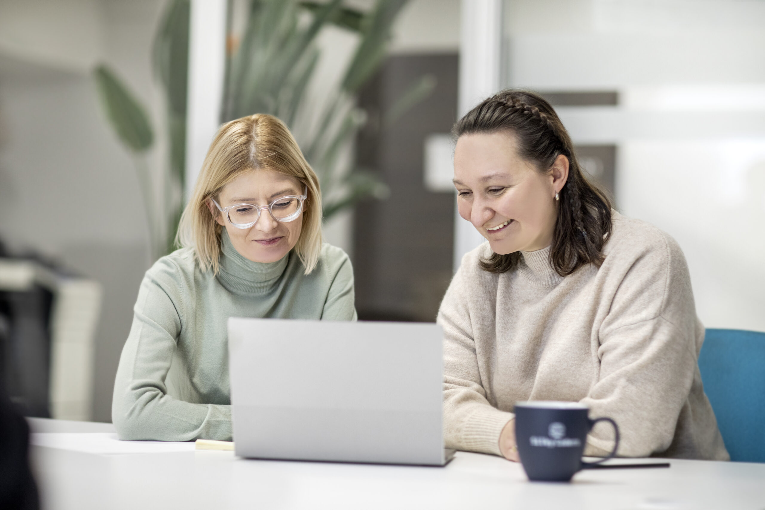 Silky Coders